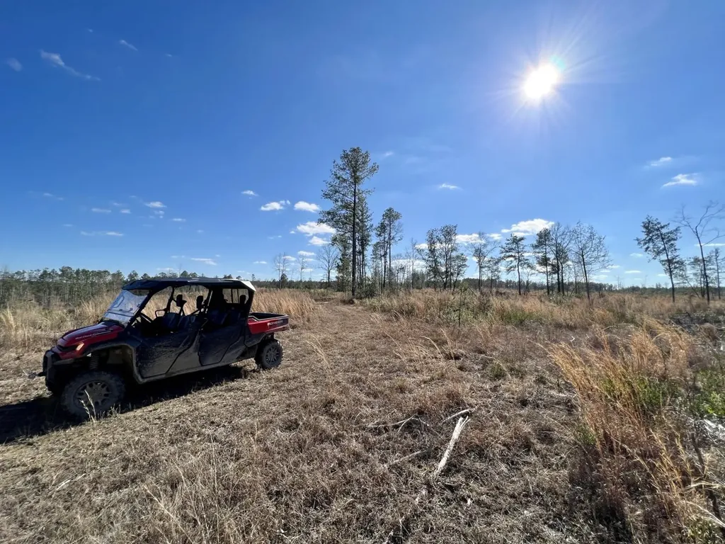 0 Landfield Road Chatom AL 36518