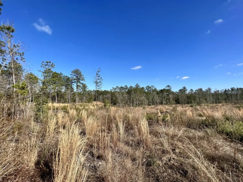 0 Landfield Road Chatom AL 36518