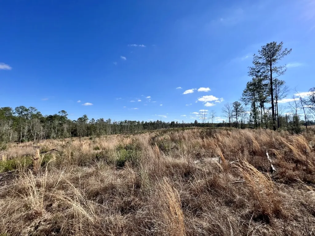 0 Landfield Road Chatom AL 36518