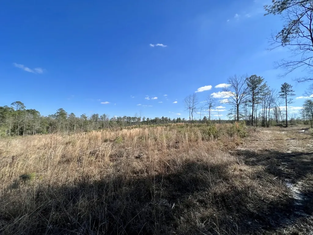 0 Landfield Road Chatom AL 36518