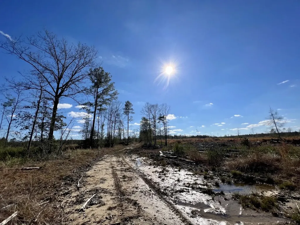 0 Landfield Road Chatom AL 36518