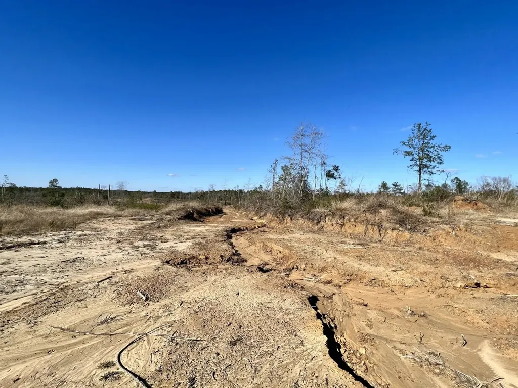 0 Landfield Road Chatom AL 36518