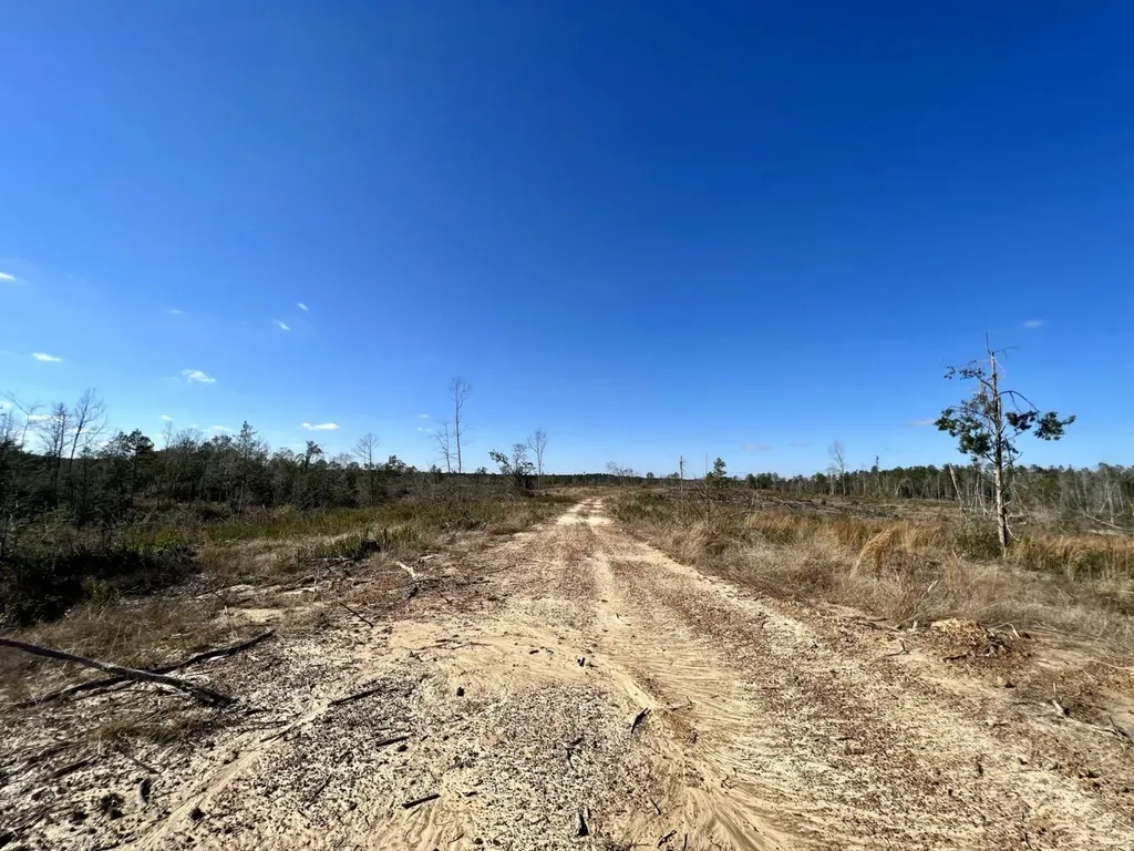 0 Landfield Road Chatom AL 36518