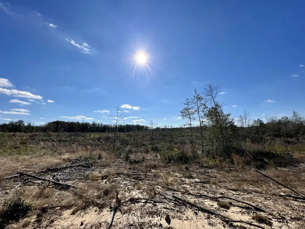 0 Landfield Road Chatom AL 36518