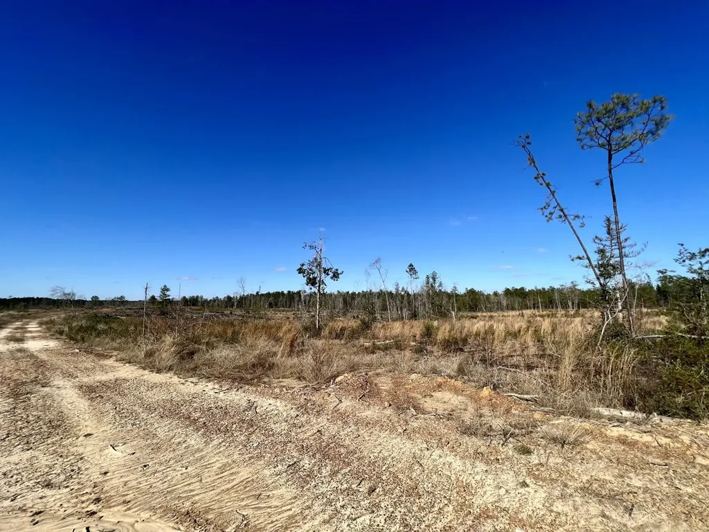 0 Landfield Road Chatom AL 36518