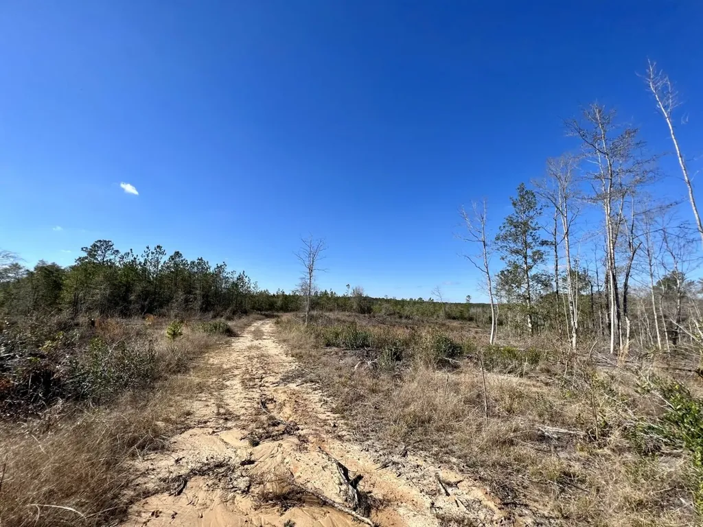 0 Landfield Road Chatom AL 36518