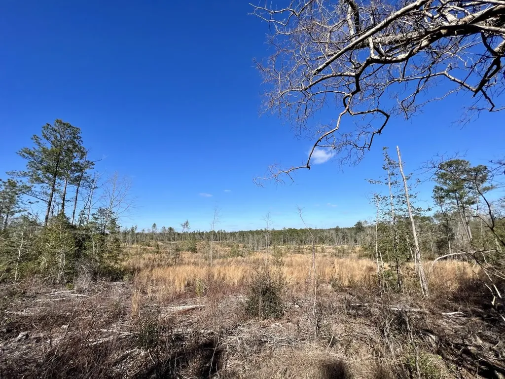 0 Landfield Road Chatom AL 36518