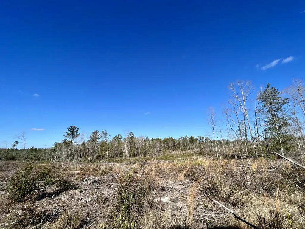 0 Landfield Road Chatom AL 36518