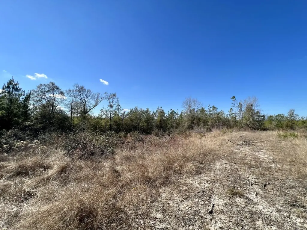 0 Landfield Road Chatom AL 36518