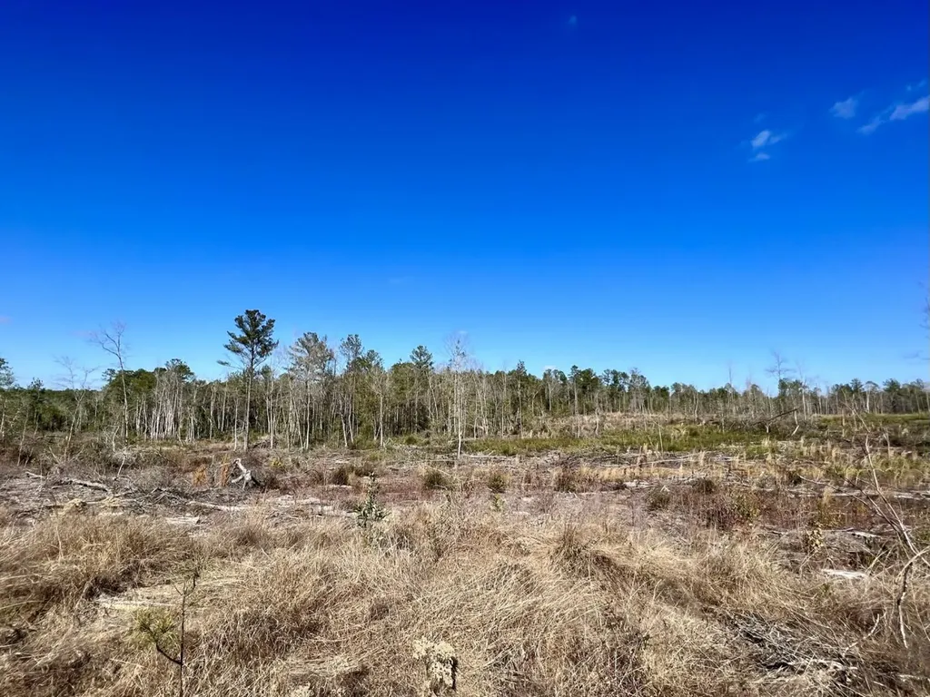 0 Landfield Road Chatom AL 36518