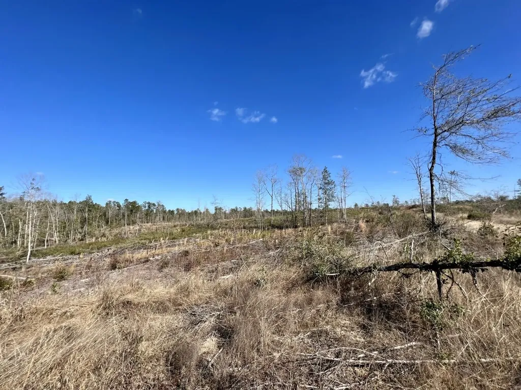 0 Landfield Road Chatom AL 36518