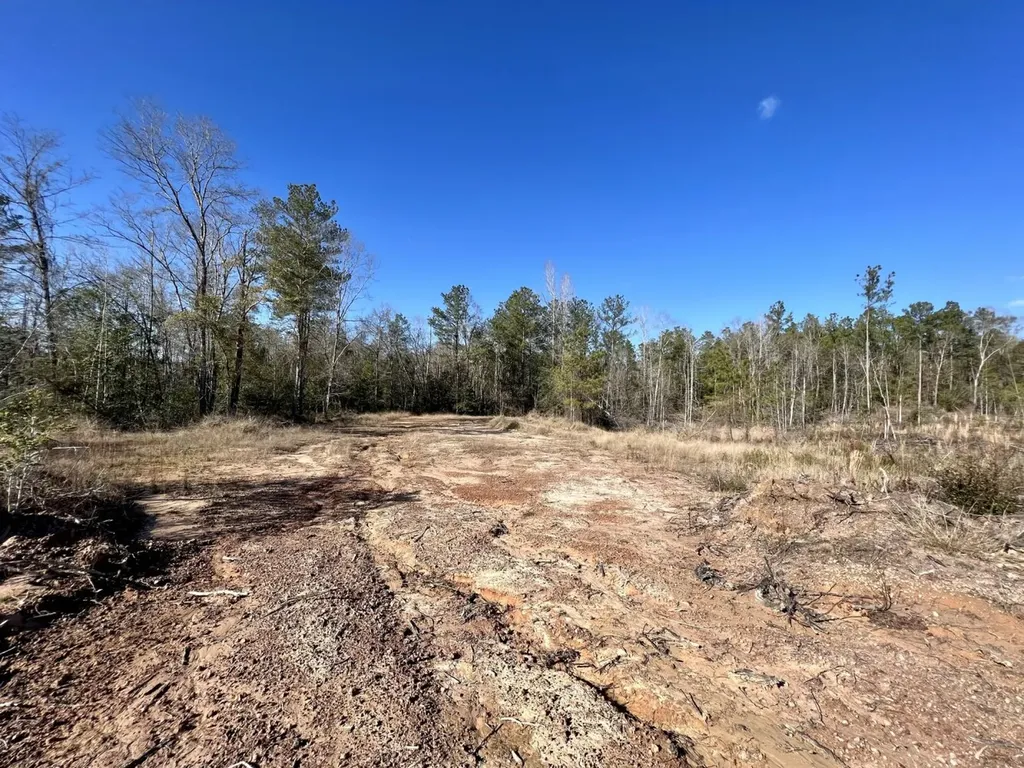 0 Landfield Road Chatom AL 36518