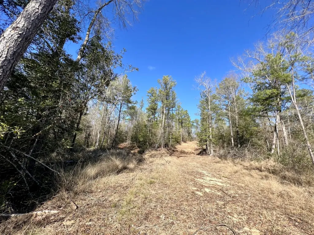 0 Landfield Road Chatom AL 36518