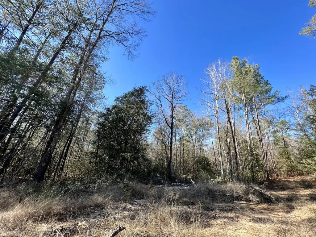 0 Landfield Road Chatom AL 36518