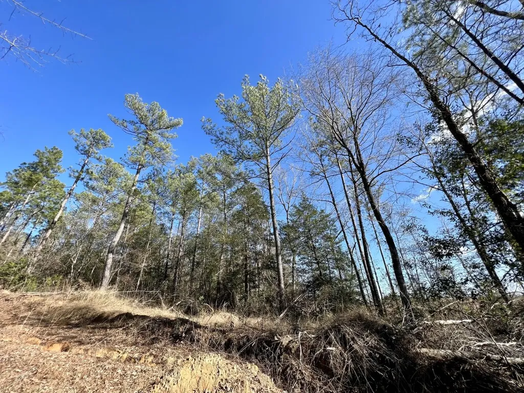 0 Landfield Road Chatom AL 36518