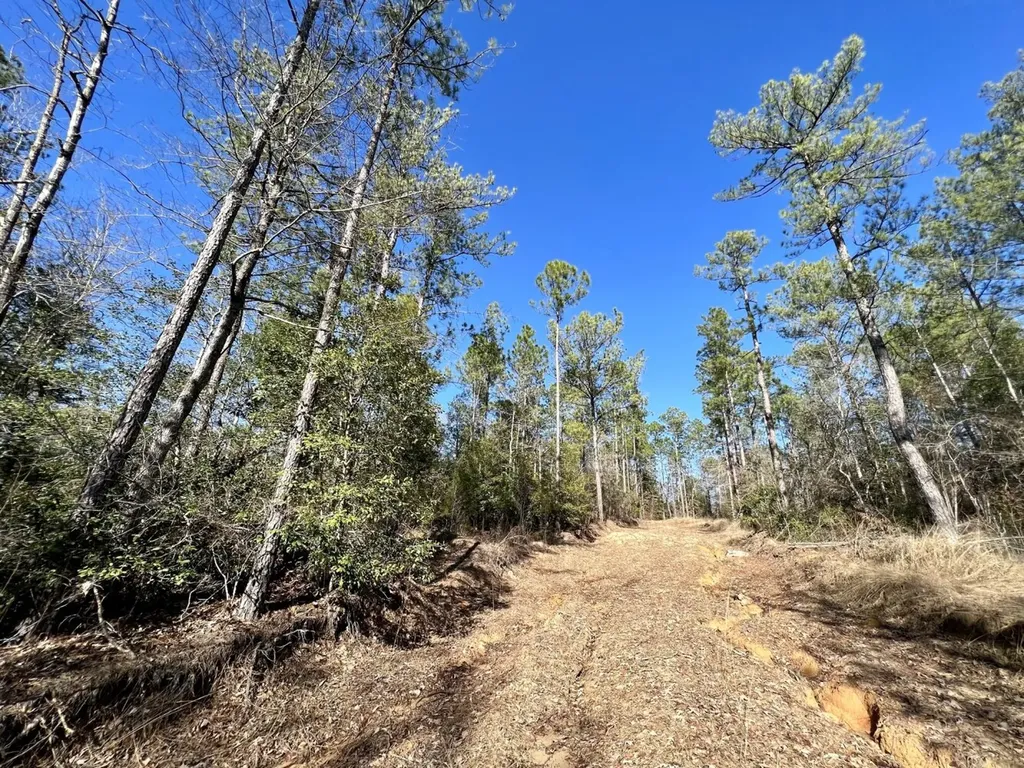 0 Landfield Road Chatom AL 36518