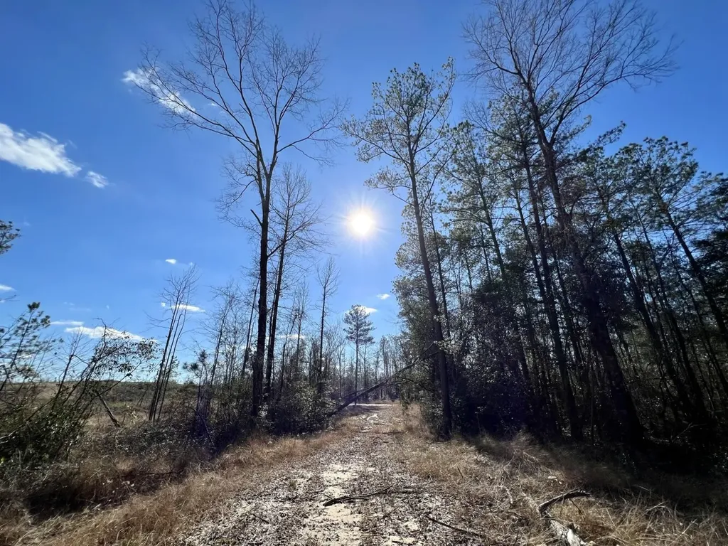 0 Landfield Road Chatom AL 36518