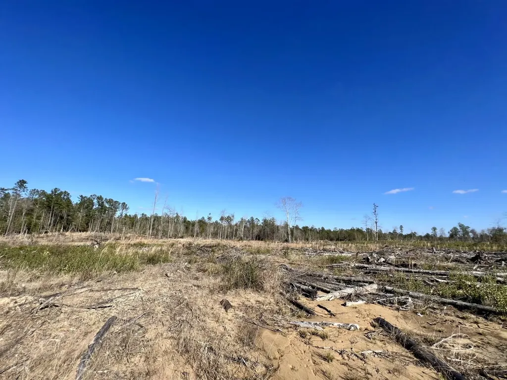 0 Landfield Road Chatom AL 36518