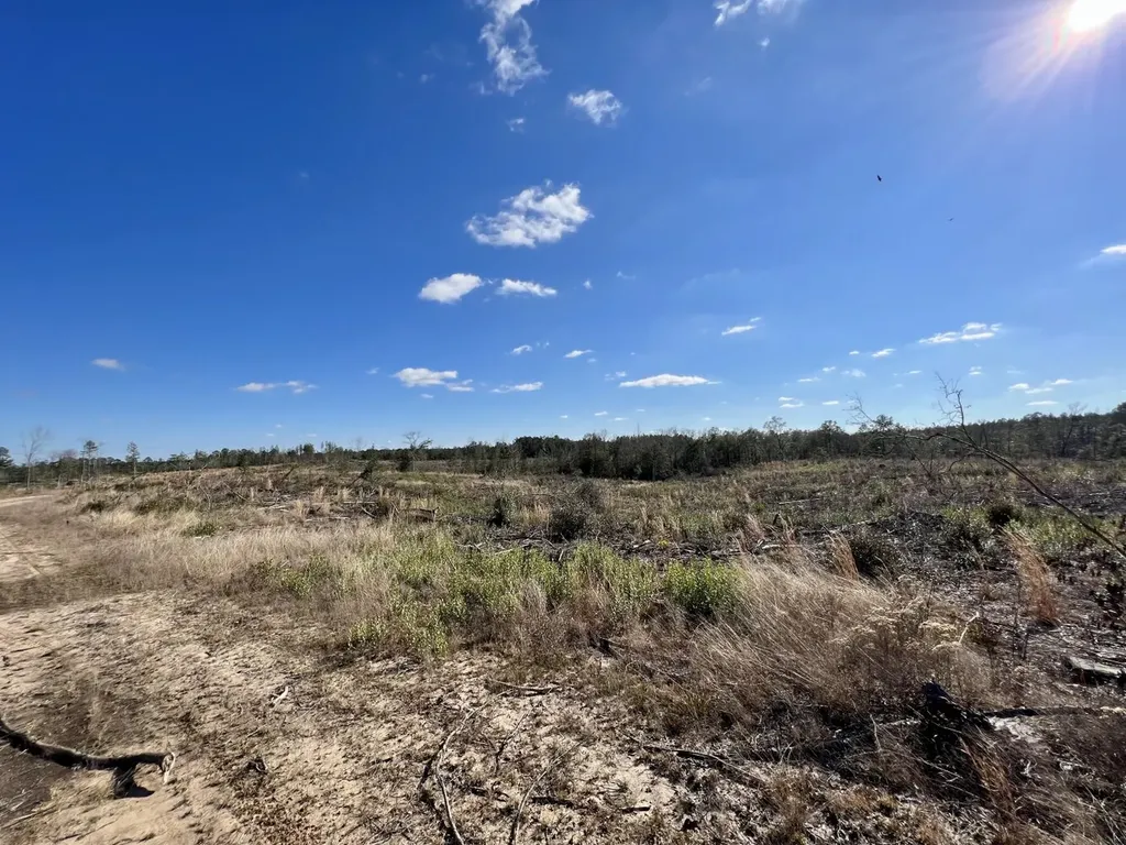 0 Landfield Road Chatom AL 36518