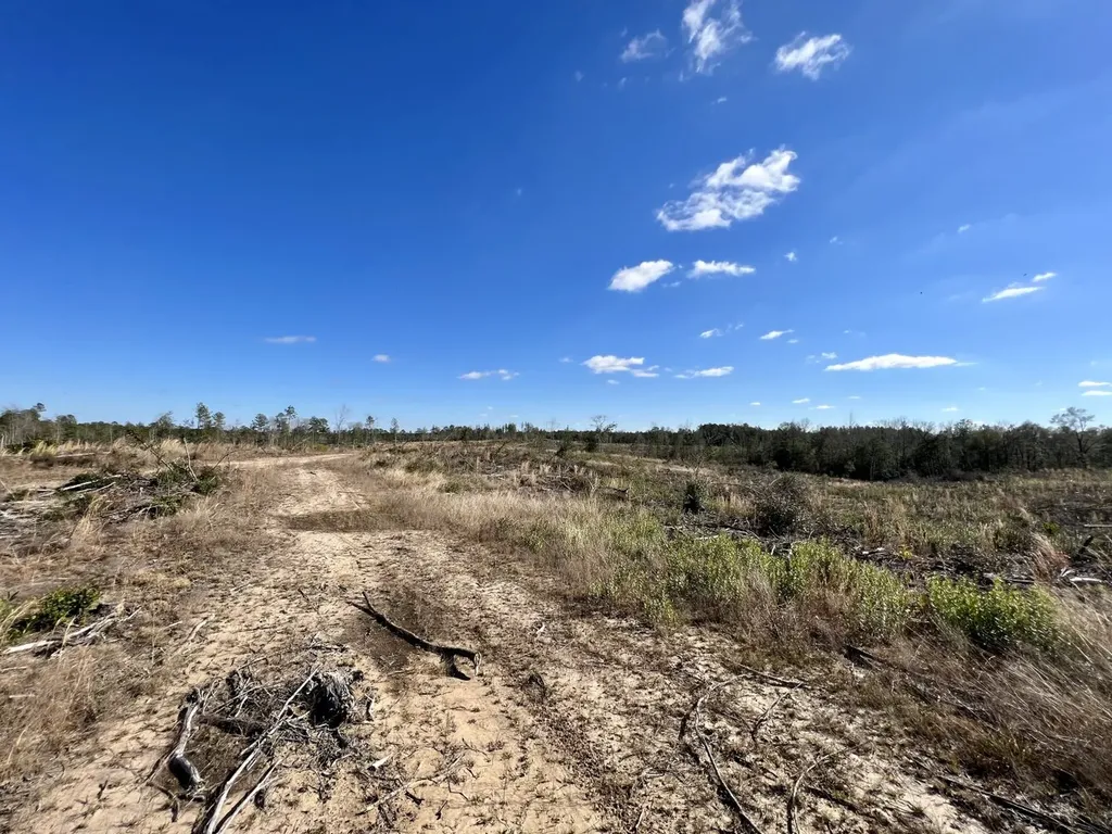 0 Landfield Road Chatom AL 36518