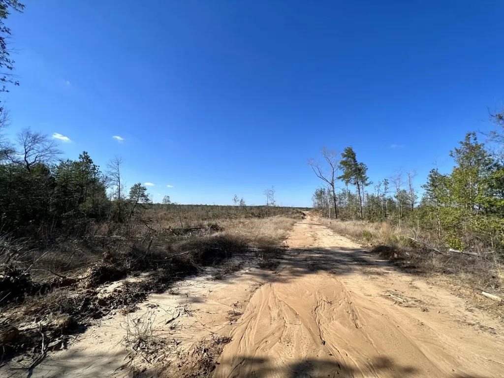 0 Landfield Road Chatom AL 36518