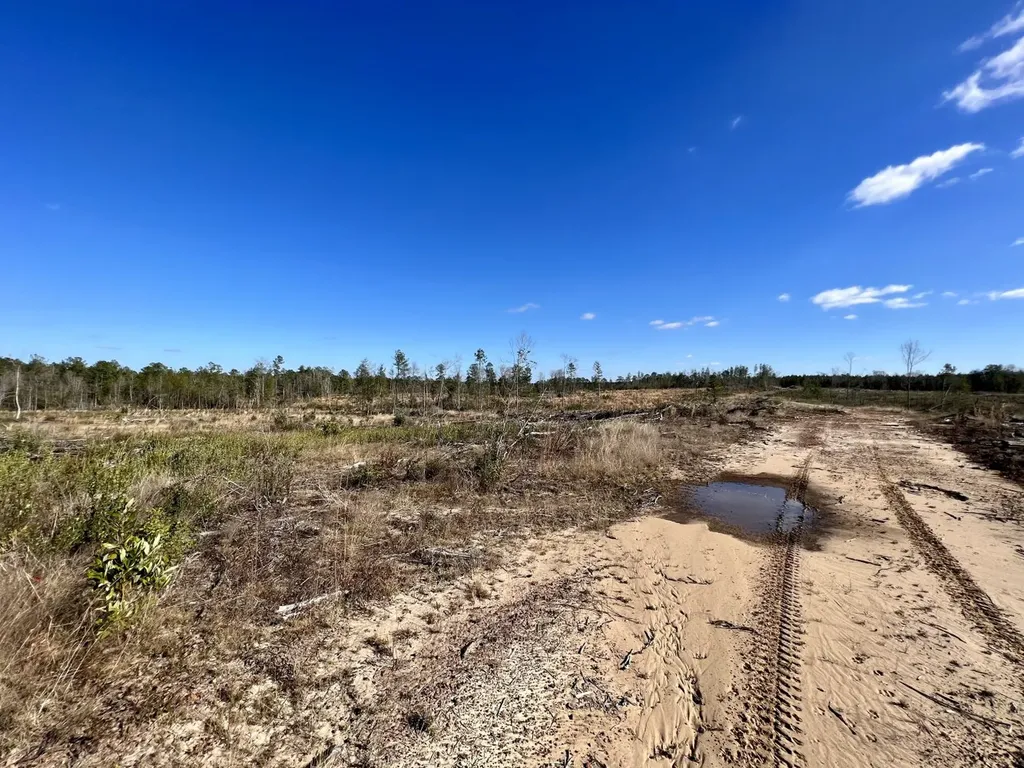 0 Landfield Road Chatom AL 36518