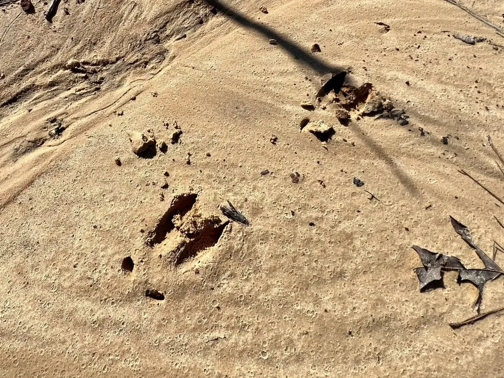 0 Landfield Road Chatom AL 36518