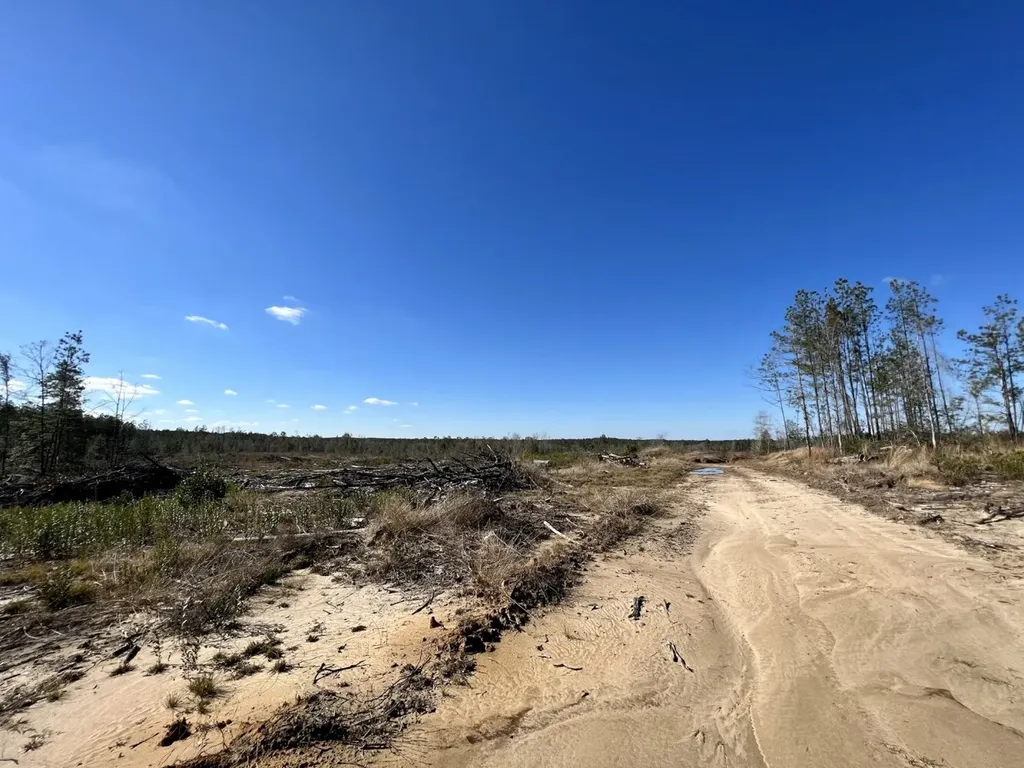 0 Landfield Road Chatom AL 36518