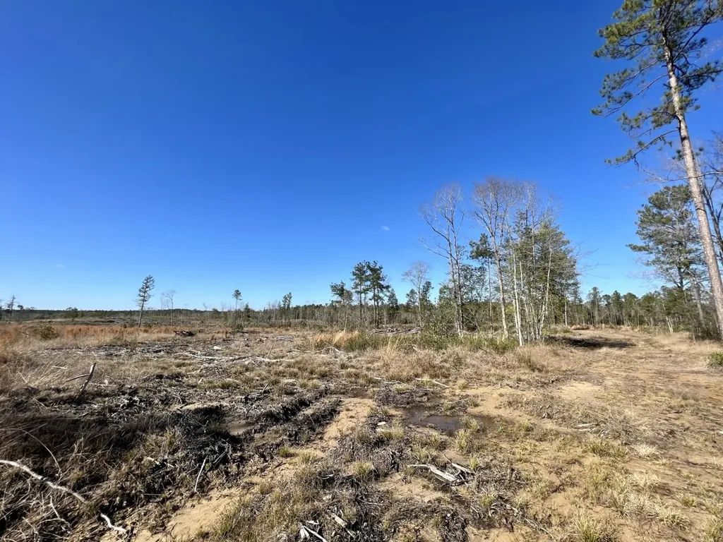 0 Landfield Road Chatom AL 36518