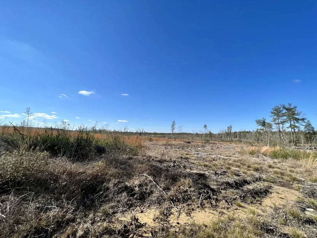 0 Landfield Road Chatom AL 36518