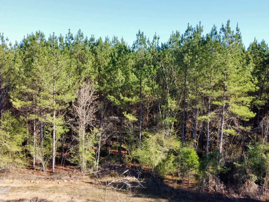 0 Hwy Al 14 Selma AL 36701