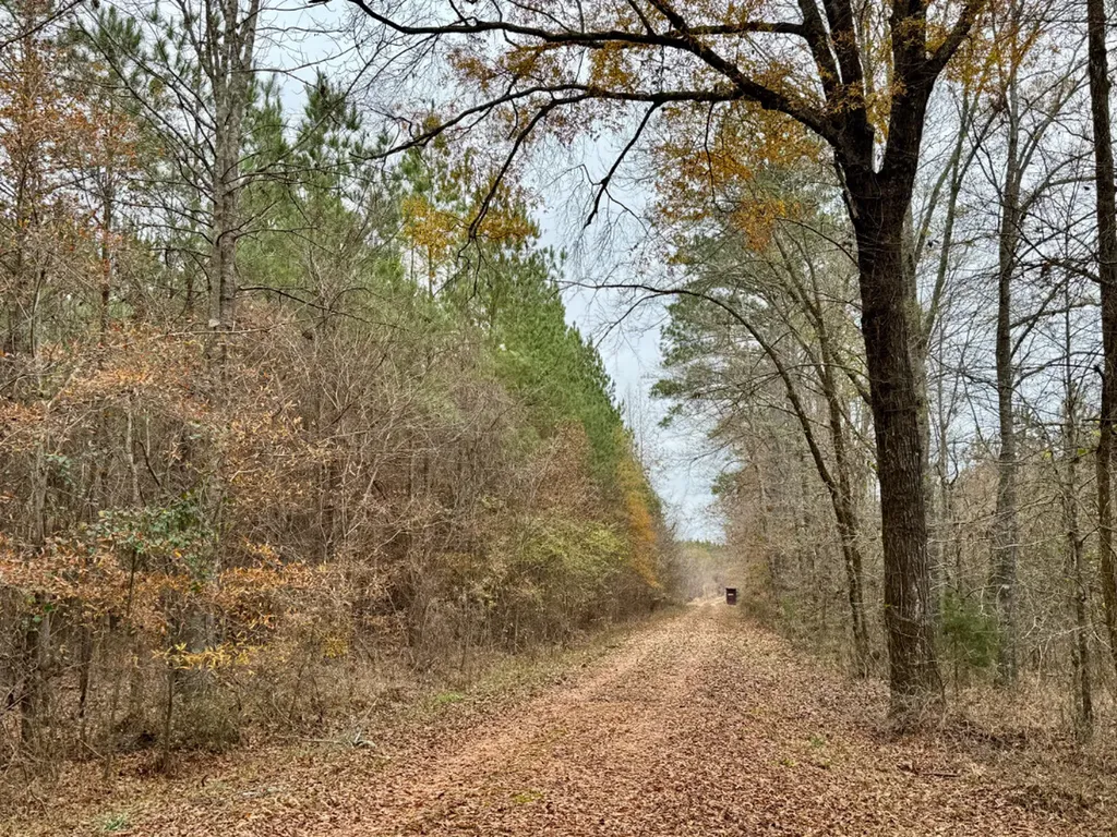 0 Hwy Al 14 Selma AL 36701