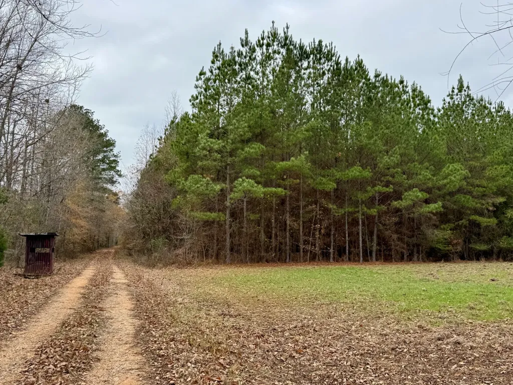 0 Hwy Al 14 Selma AL 36701