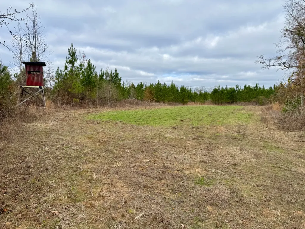 0 Hwy Al 14 Selma AL 36701