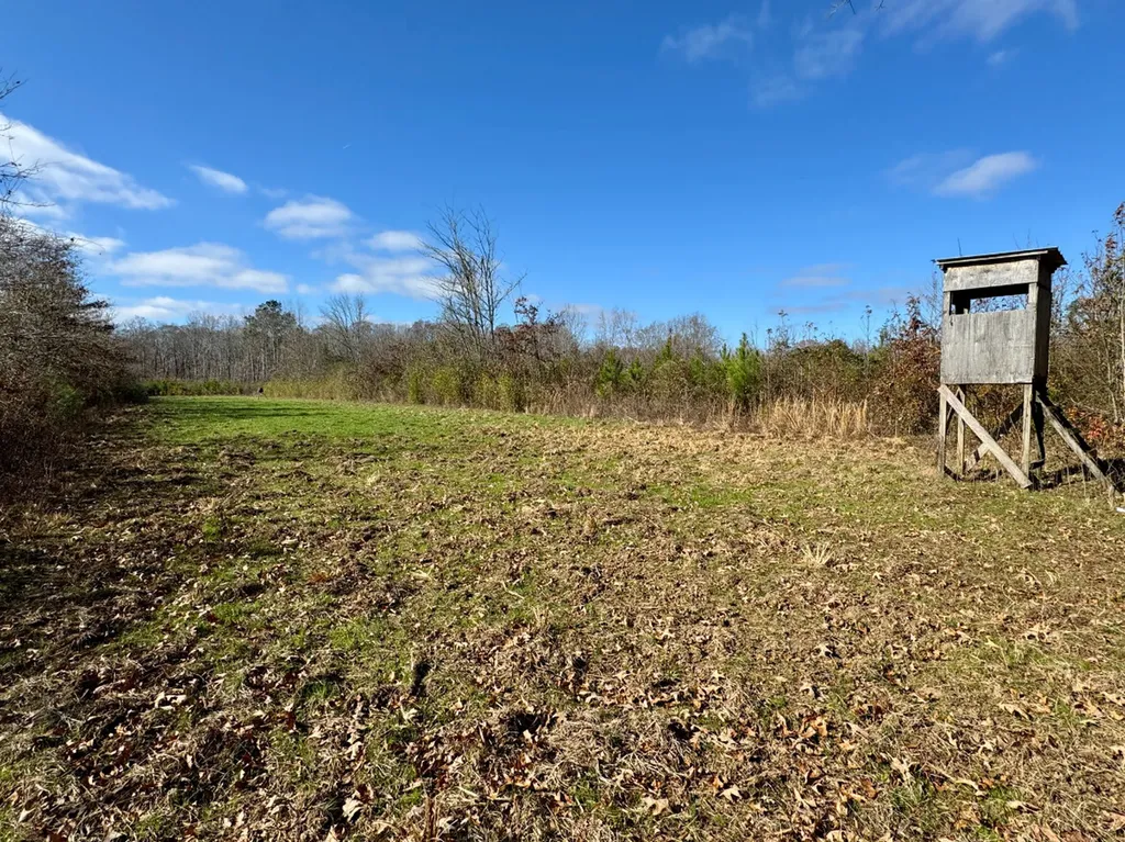 0 Hwy Al 14 Selma AL 36701