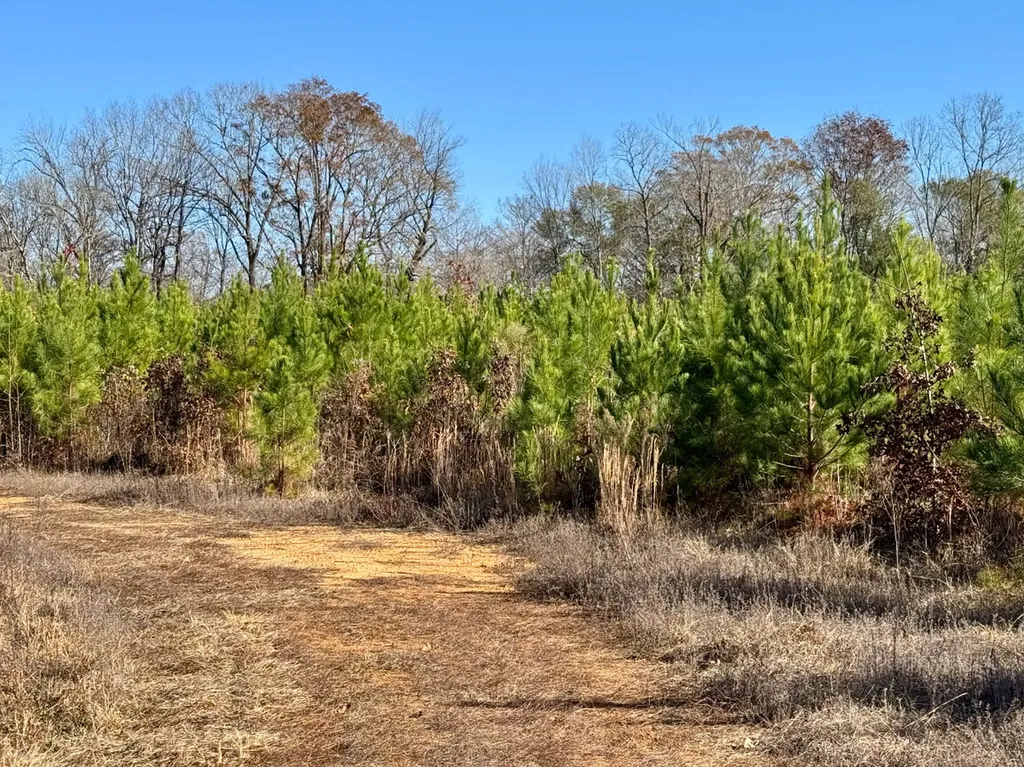 0 Hwy Al 14 Selma AL 36701