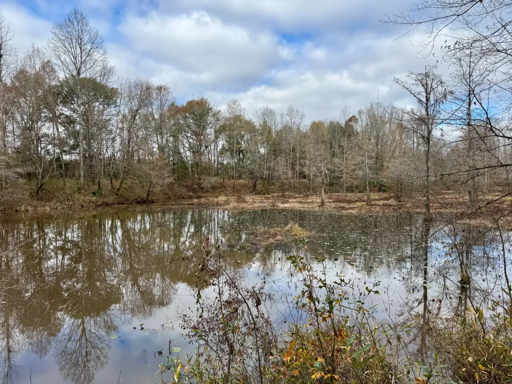 0 Hwy Al 14 Selma AL 36701