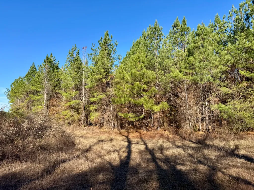 0 Hwy Al 14 Selma AL 36701