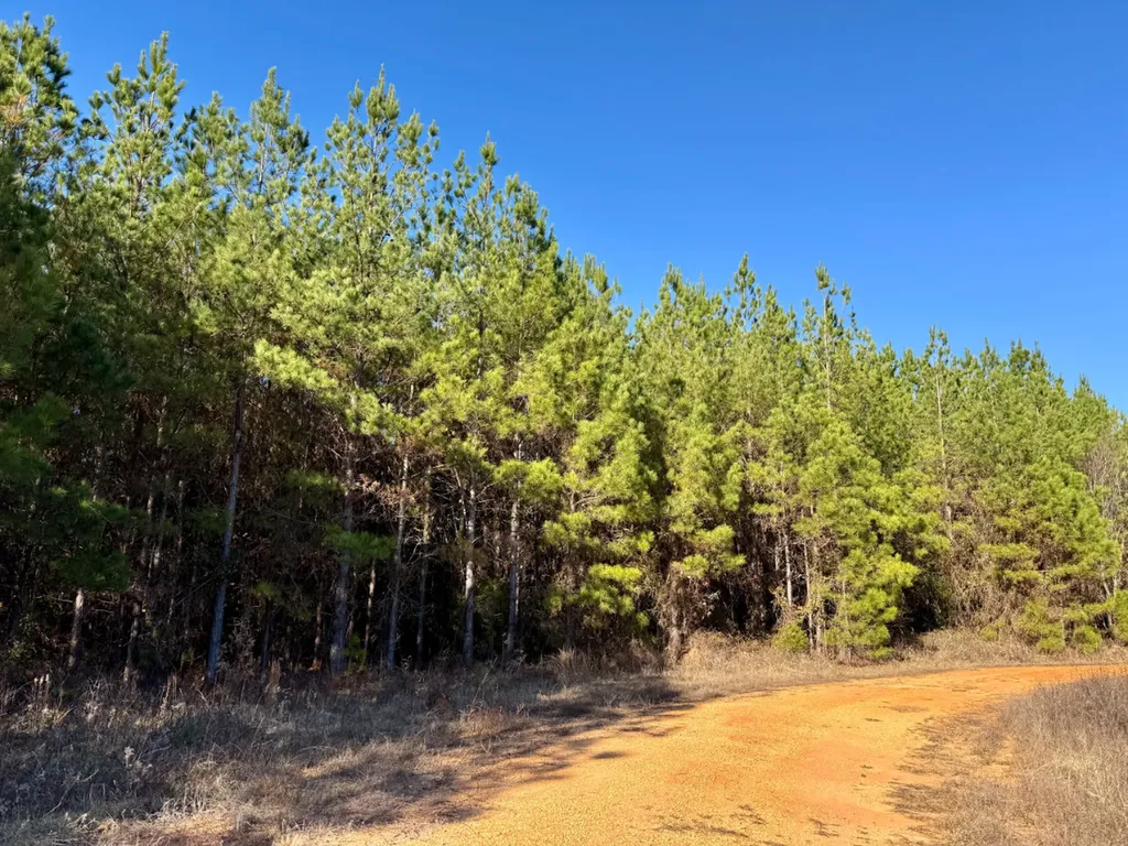 0 Hwy Al 14 Selma AL 36701