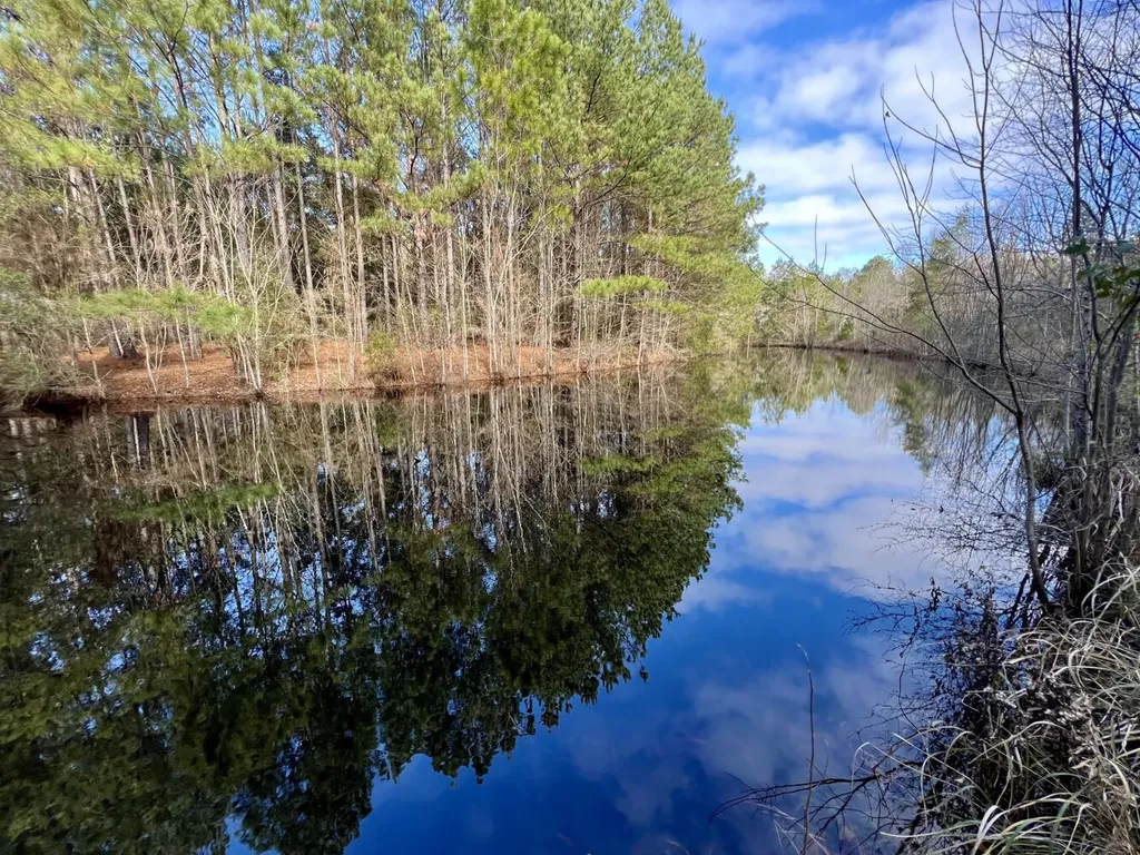 11164 Roberts Road Chunchula AL 36521