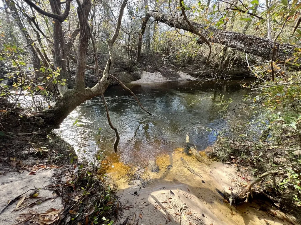 11164 Roberts Road Chunchula AL 36521