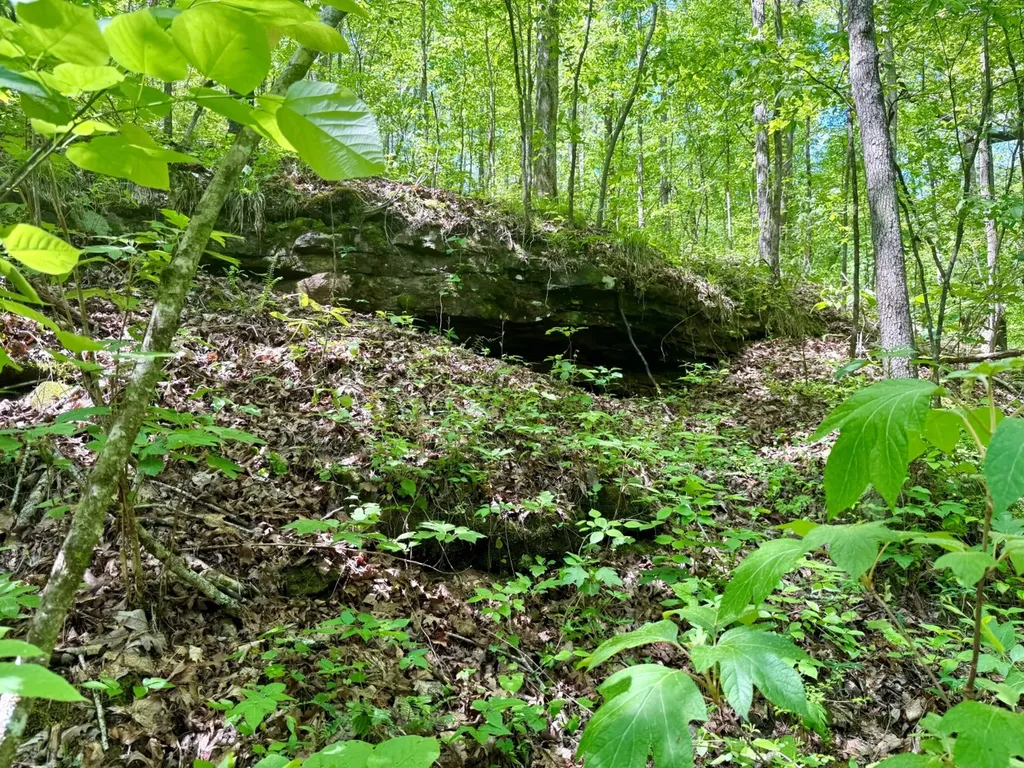 0 Co Road 619 Hanceville AL 35077