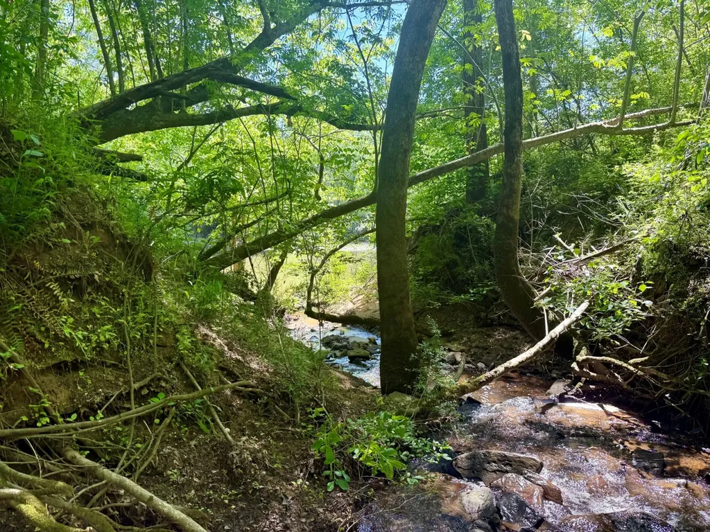 0 Co Road 619 Hanceville AL 35077