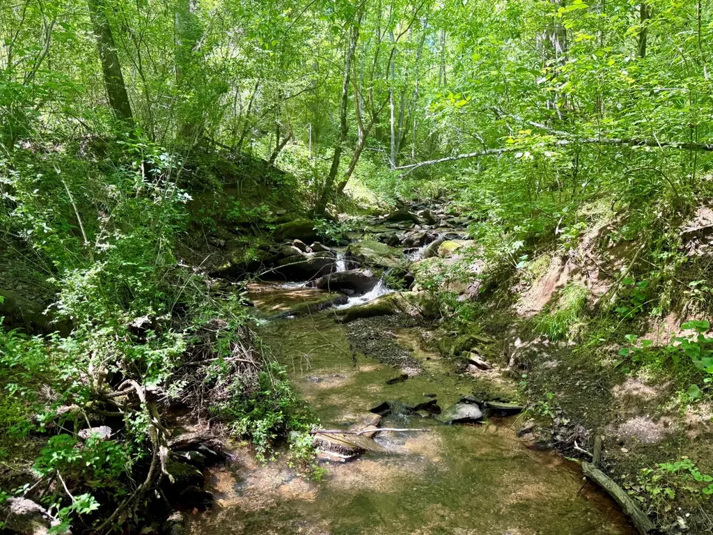 0 Co Road 619 Hanceville AL 35077