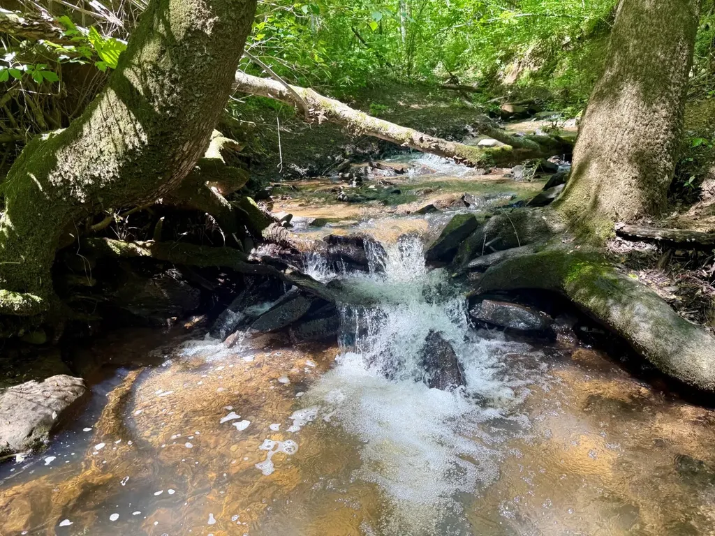 0 Co Road 619 Hanceville AL 35077