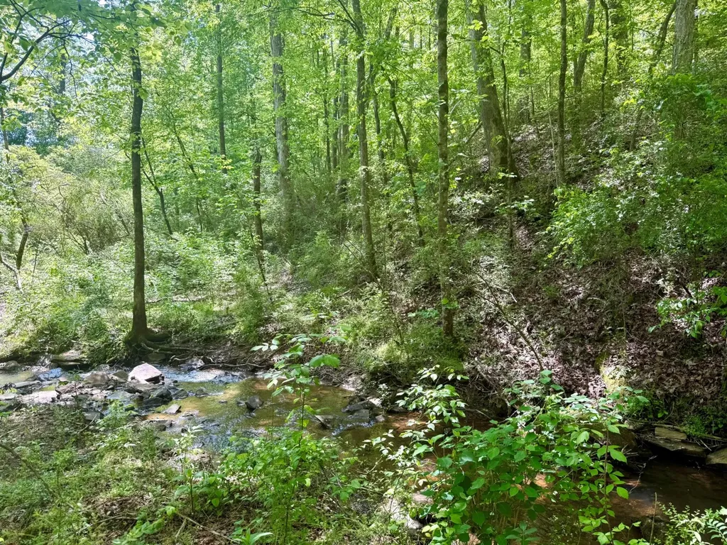 0 Co Road 619 Hanceville AL 35077