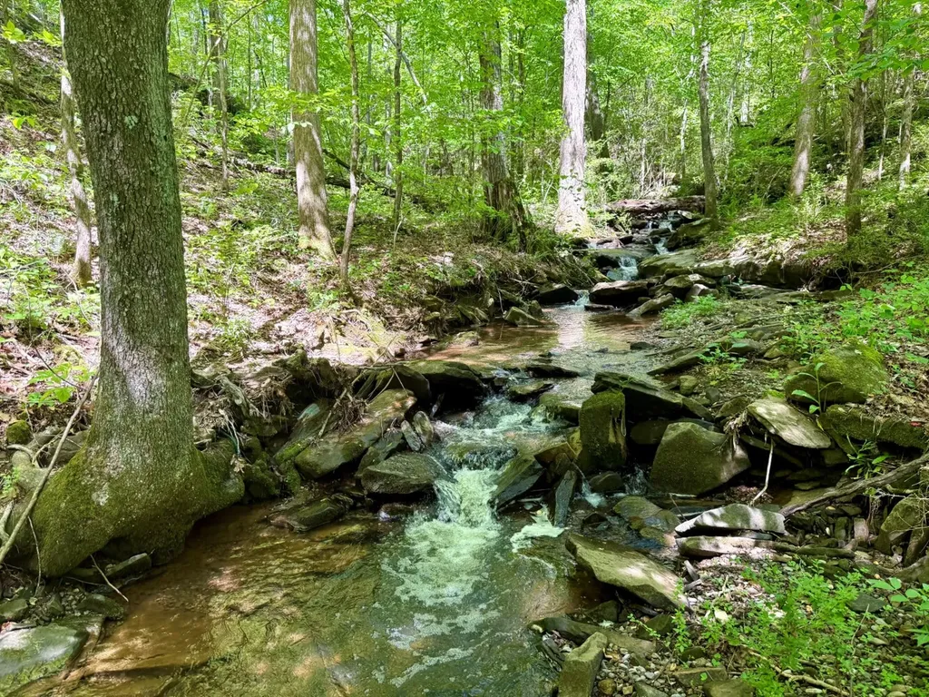 0 Co Road 619 Hanceville AL 35077