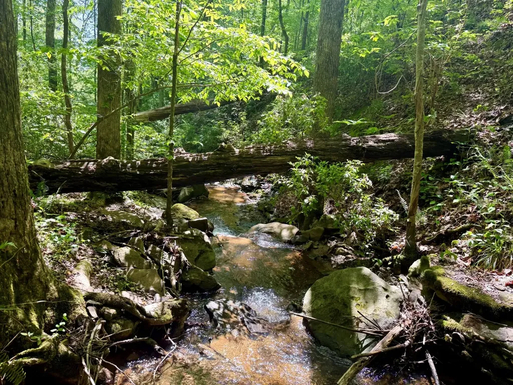 0 Co Road 619 Hanceville AL 35077