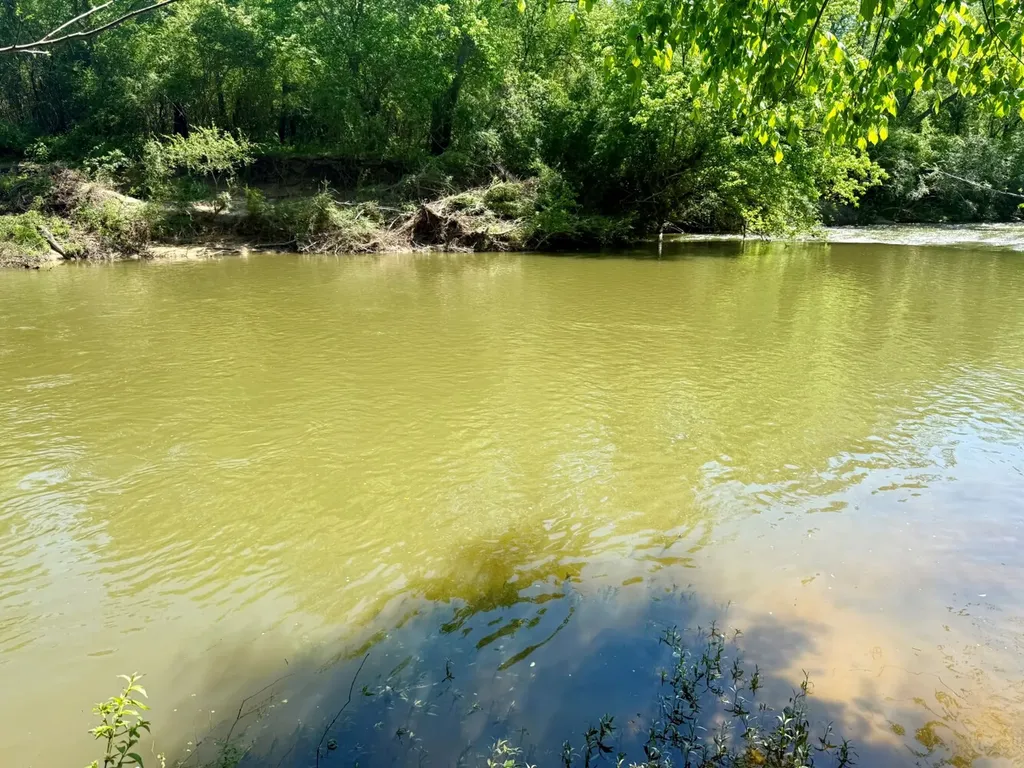 0 Co Road 619 Hanceville AL 35077