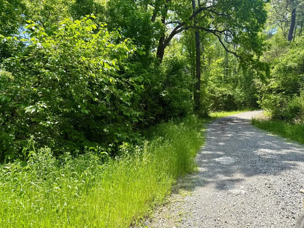 0 Co Road 619 Hanceville AL 35077